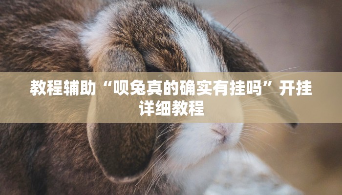 教程辅助“呗兔真的确实有挂吗”开挂详细教程