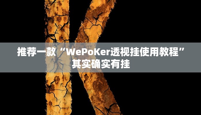 推荐一款“WePoKer透视挂使用教程”其实确实有挂