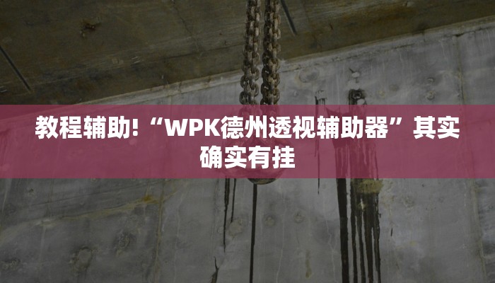 教程辅助!“WPK德州透视辅助器”其实确实有挂