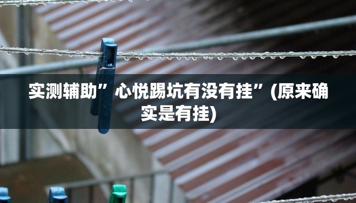 实测辅助”心悦踢坑有没有挂”(原来确实是有挂)