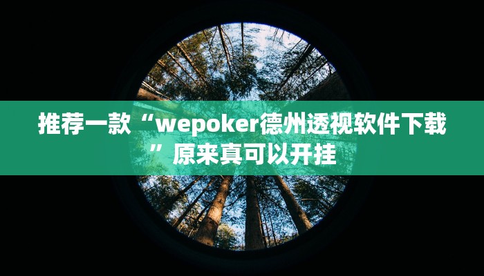 辅助神器“微乐斗地主小程序透视下载”开挂详细教程