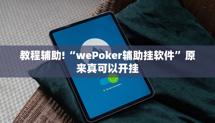 教程辅助!“wePoker辅助挂软件”原来真可以开挂