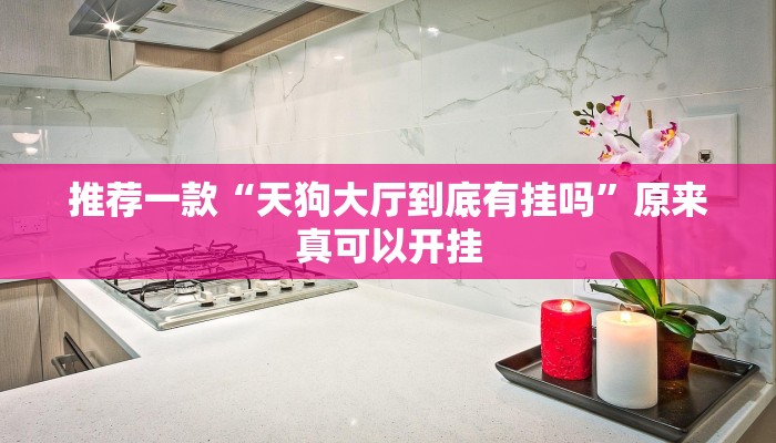 推荐一款“天狗大厅到底有挂吗”原来真可以开挂