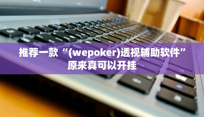 推荐一款“(wepoker)透视辅助软件”原来真可以开挂