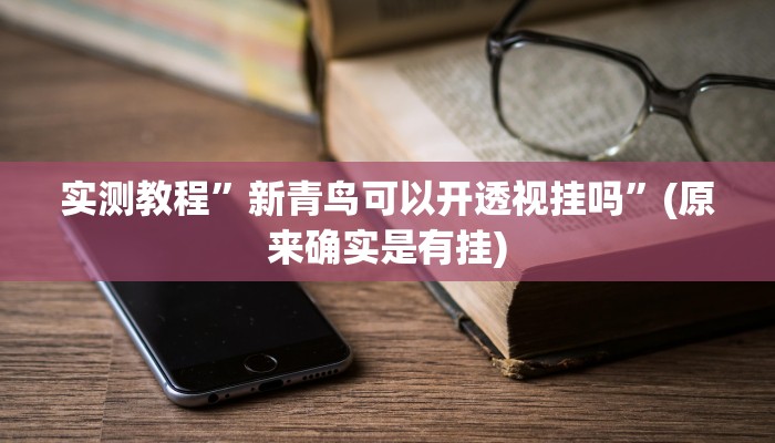 实测教程”新青鸟可以开透视挂吗”(原来确实是有挂)