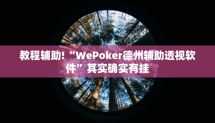 教程辅助!“WePoker德州辅助透视软件”其实确实有挂