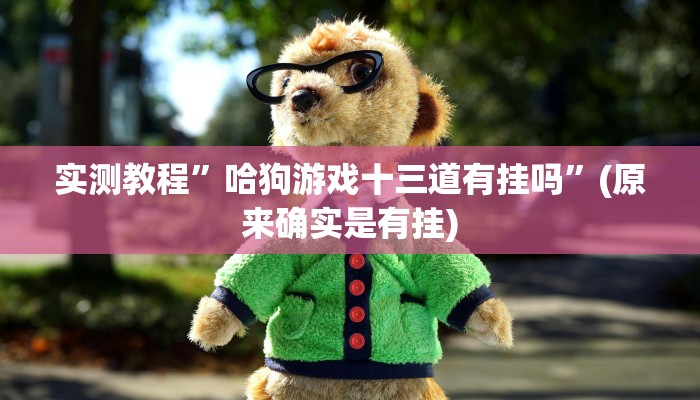实测教程”哈狗游戏十三道有挂吗”(原来确实是有挂)