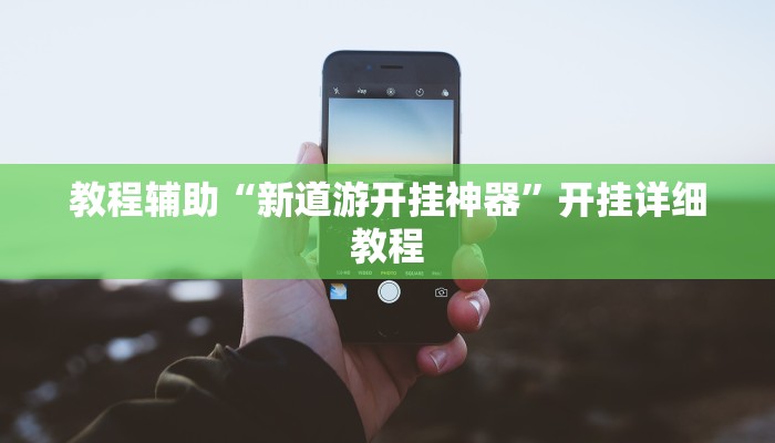 教程辅助“新道游开挂神器”开挂详细教程