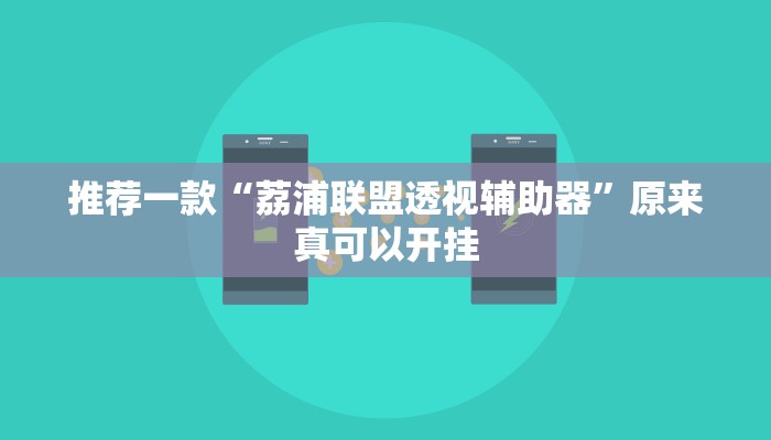 推荐一款“荔浦联盟透视辅助器”原来真可以开挂