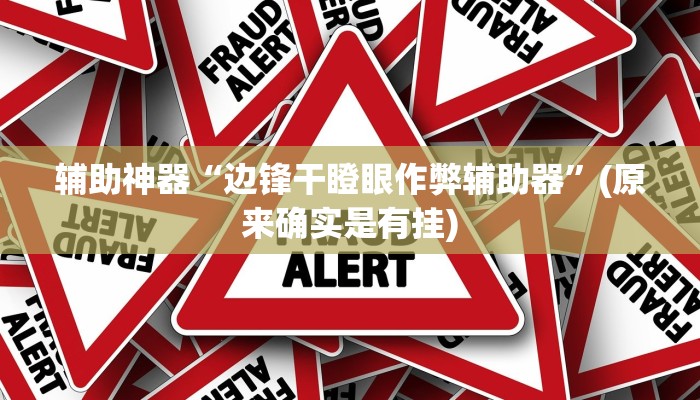 辅助神器“边锋干瞪眼作弊辅助器”(原来确实是有挂)