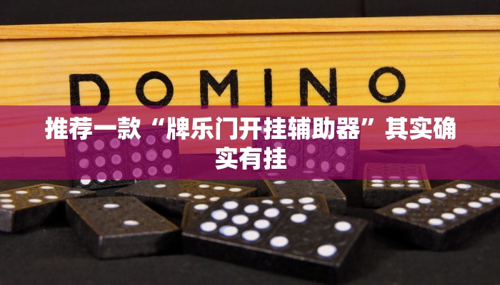 推荐一款“牌乐门开挂辅助器”其实确实有挂