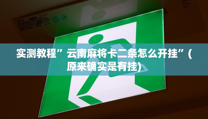 教程辅助!“闲来贵州麻将开挂的软件”其实确实有挂