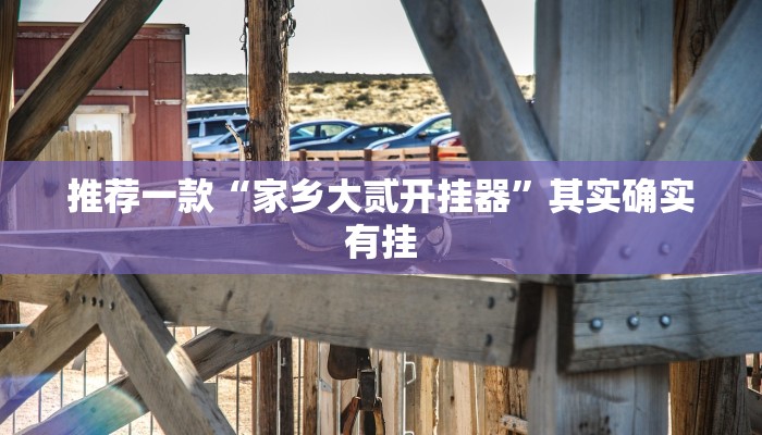 推荐一款“家乡大贰开挂器”其实确实有挂