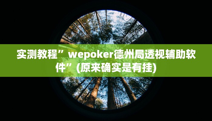 实测教程”wepoker德州局透视辅助软件”(原来确实是有挂)