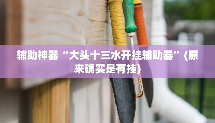 辅助神器“大头十三水开挂辅助器”(原来确实是有挂)