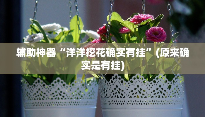 辅助神器“洋洋挖花确实有挂”(原来确实是有挂)