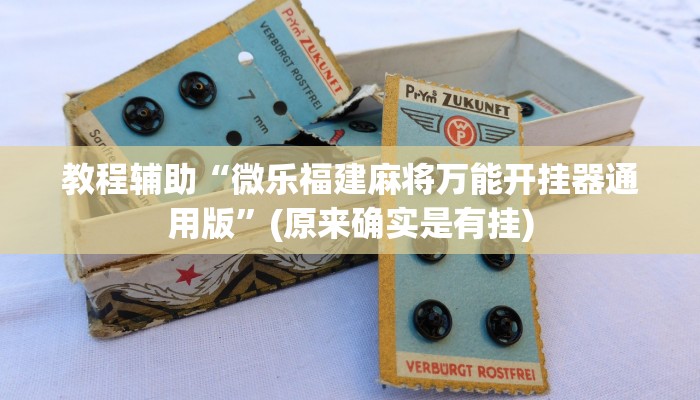 教程辅助“微乐福建麻将万能开挂器通用版”(原来确实是有挂)
