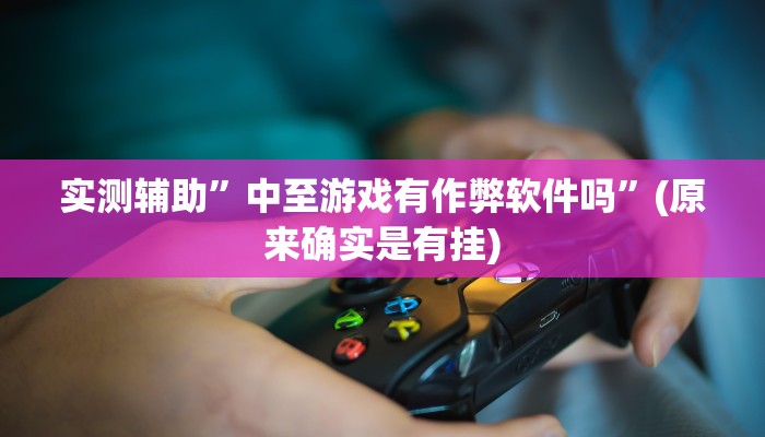 实测辅助”中至游戏有作弊软件吗”(原来确实是有挂)