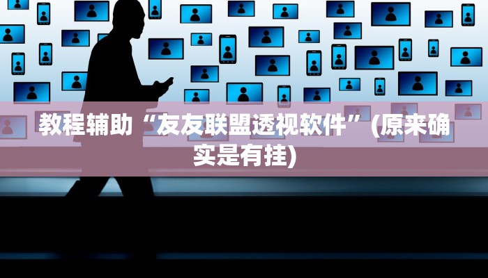 教程辅助“友友联盟透视软件”(原来确实是有挂)