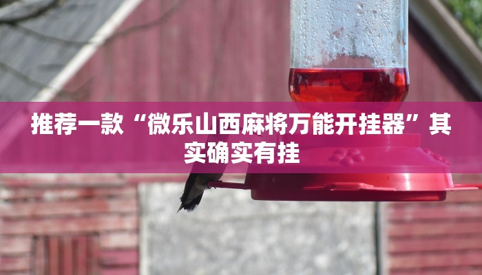 教程辅助“金龙大厅开挂辅助软件”(原来确实是有挂)