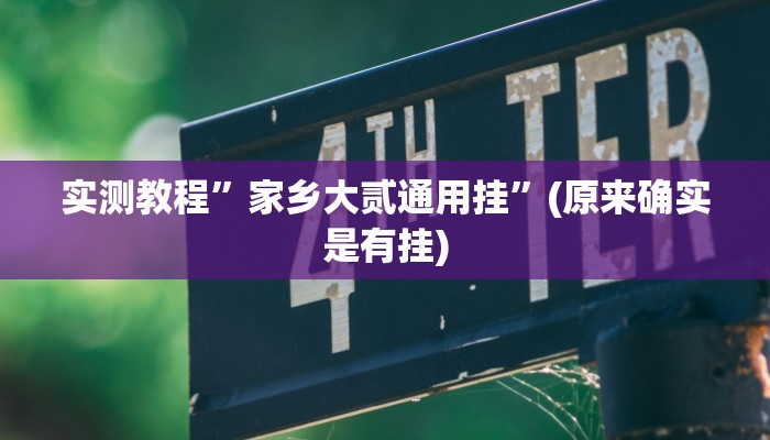实测教程”家乡大贰通用挂”(原来确实是有挂)