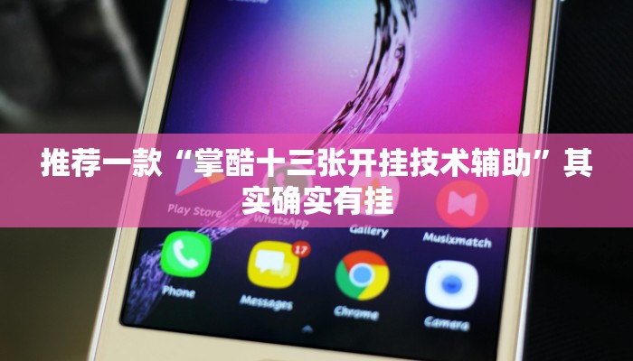 推荐一款“掌酷十三张开挂技术辅助”其实确实有挂