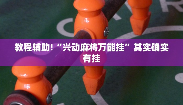 教程辅助!“兴动麻将万能挂”其实确实有挂