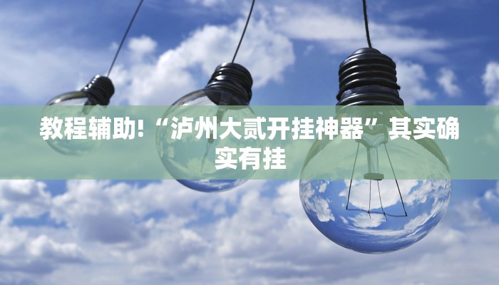 教程辅助!“泸州大贰开挂神器”其实确实有挂