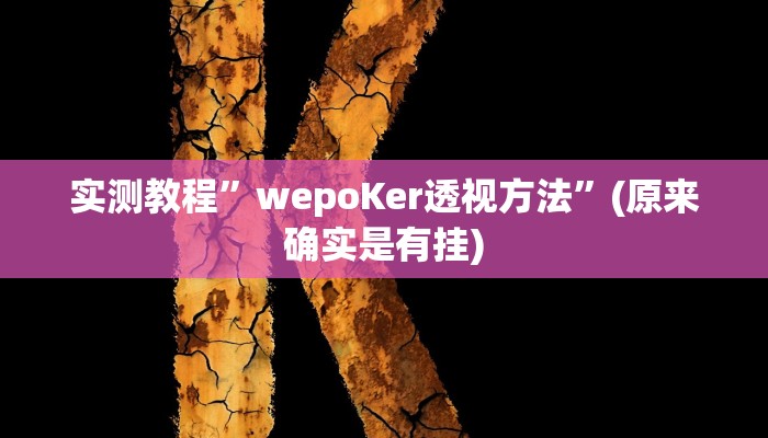实测教程”wepoKer透视方法”(原来确实是有挂)