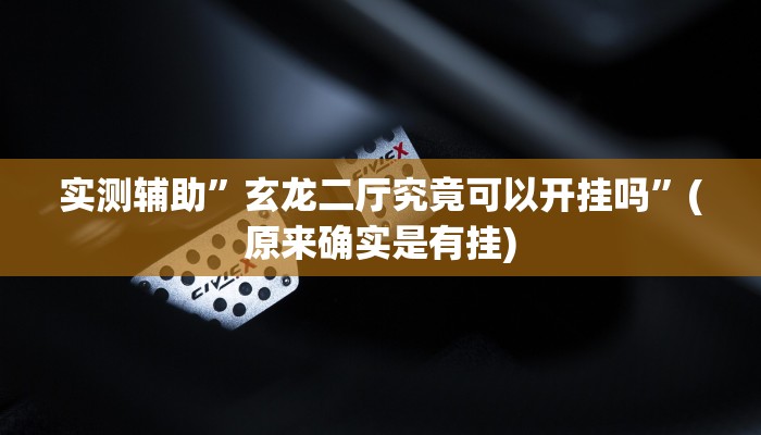 实测辅助”玄龙二厅究竟可以开挂吗”(原来确实是有挂)