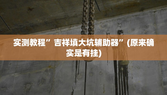 实测教程”吉祥填大坑辅助器”(原来确实是有挂)