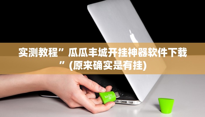 实测教程”瓜瓜丰城开挂神器软件下载”(原来确实是有挂)