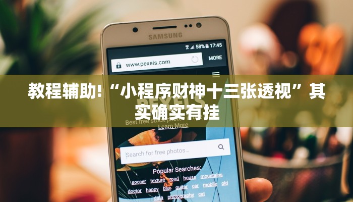 教程辅助!“小程序财神十三张透视”其实确实有挂