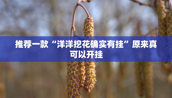推荐一款“洋洋挖花确实有挂”原来真可以开挂
