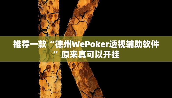 推荐一款“德州WePoker透视辅助软件”原来真可以开挂