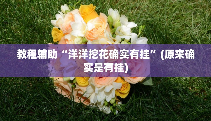 教程辅助“洋洋挖花确实有挂”(原来确实是有挂)
