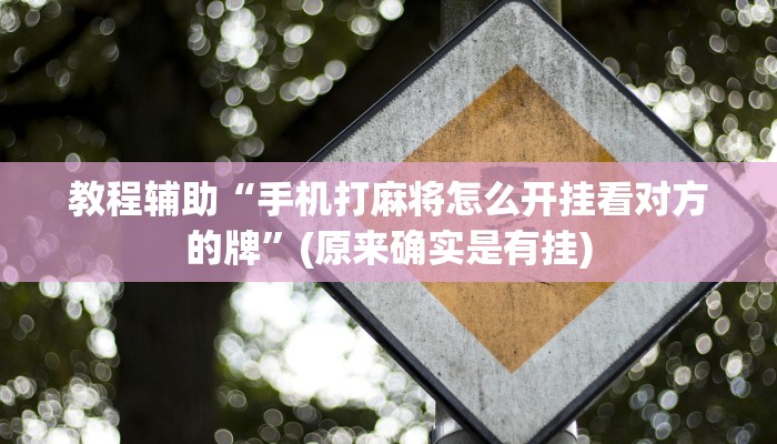 教程辅助“手机打麻将怎么开挂看对方的牌”(原来确实是有挂)