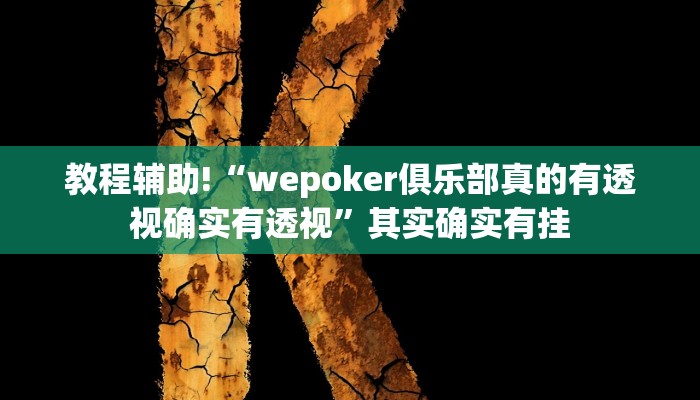 实测教程”掌酷十三张挂怎么安装”(原来确实是有挂)