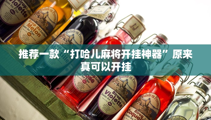 实测教程”二八杠开挂透视”(原来确实是有挂)