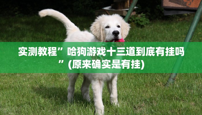 实测教程”poker now开挂教程步骤”(原来确实是有挂)
