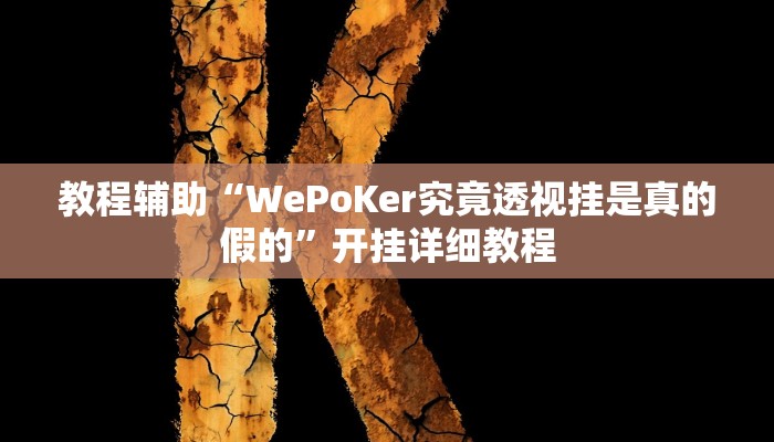 教程辅助“WePoKer究竟透视挂是真的假的”开挂详细教程
