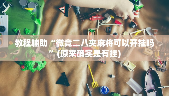 教程辅助“微竞二八夹麻将可以开挂吗”(原来确实是有挂)