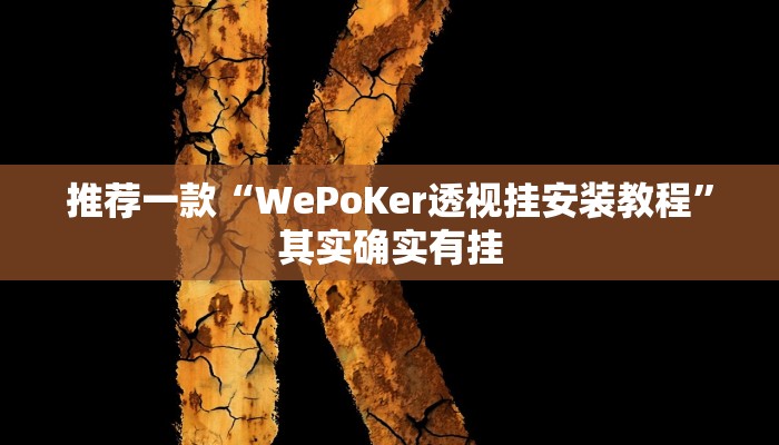 推荐一款“WePoKer透视挂安装教程”其实确实有挂