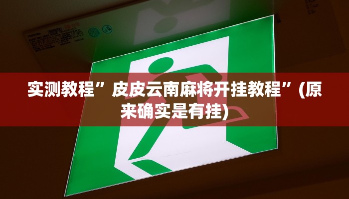 实测教程”皮皮云南麻将开挂教程”(原来确实是有挂)