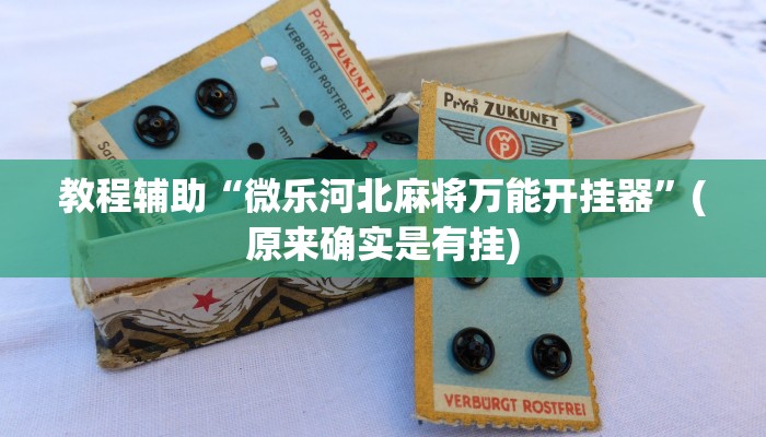 教程辅助“微乐河北麻将万能开挂器”(原来确实是有挂)