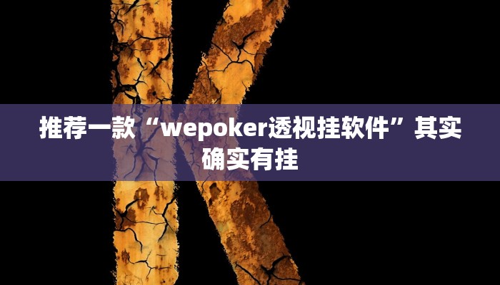 推荐一款“wepoker透视挂软件”其实确实有挂