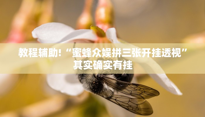 教程辅助!“蜜蜂众娱拼三张开挂透视”其实确实有挂