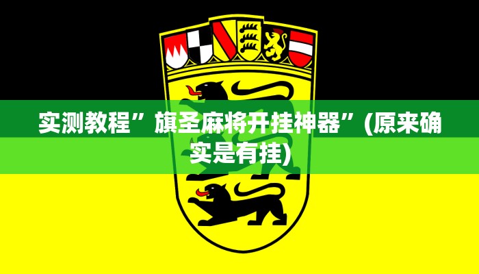 实测教程”旗圣麻将开挂神器”(原来确实是有挂)