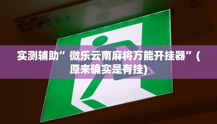 实测辅助”微乐云南麻将万能开挂器”(原来确实是有挂)