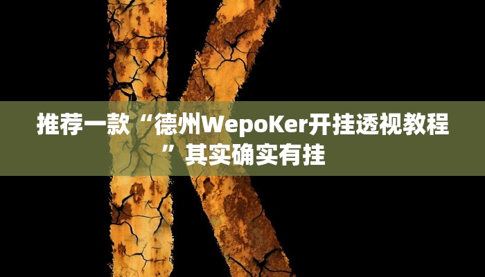 推荐一款“德州WepoKer开挂透视教程”其实确实有挂